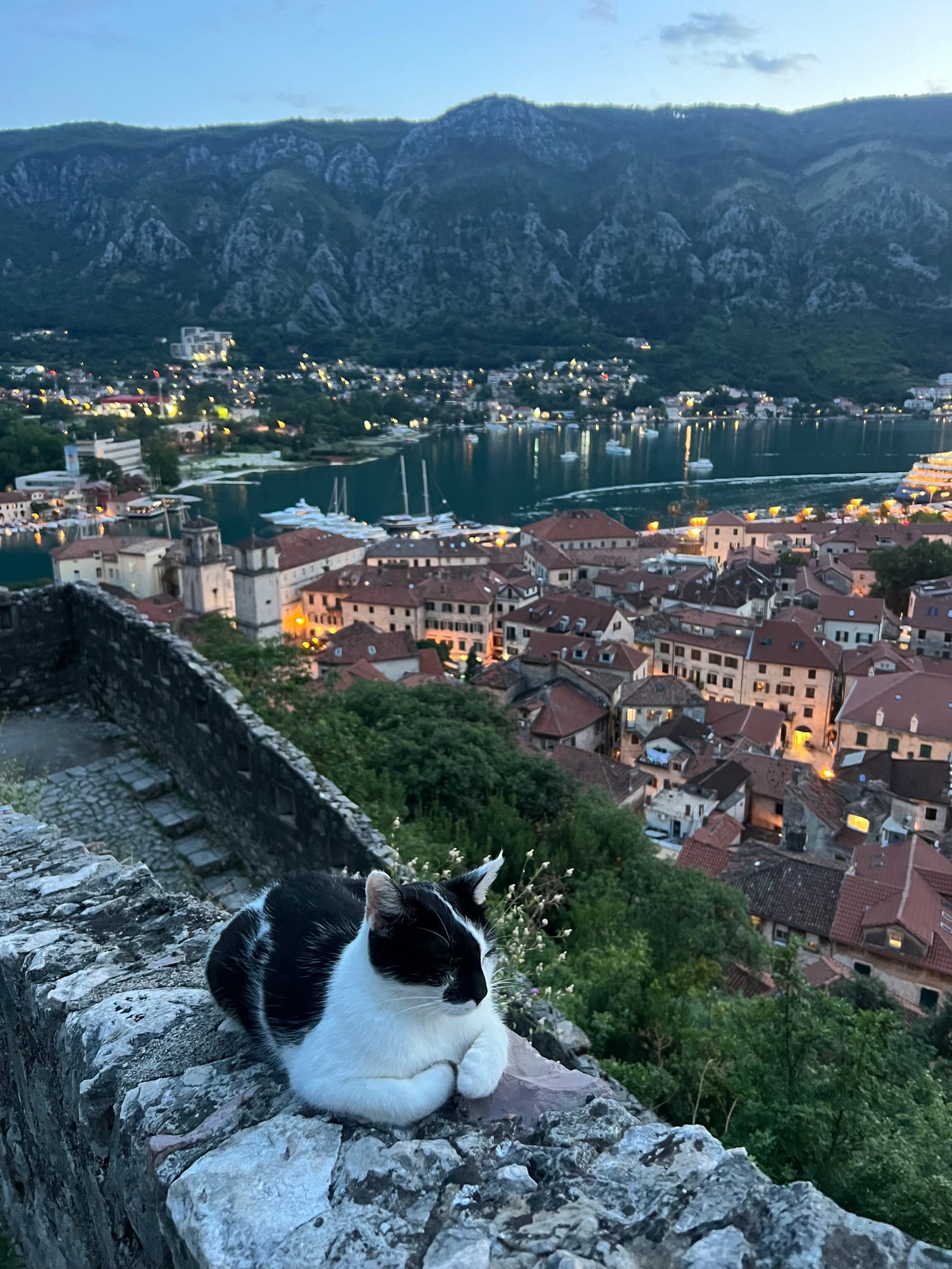 Old Town Kotor Self-Guided Walking Route