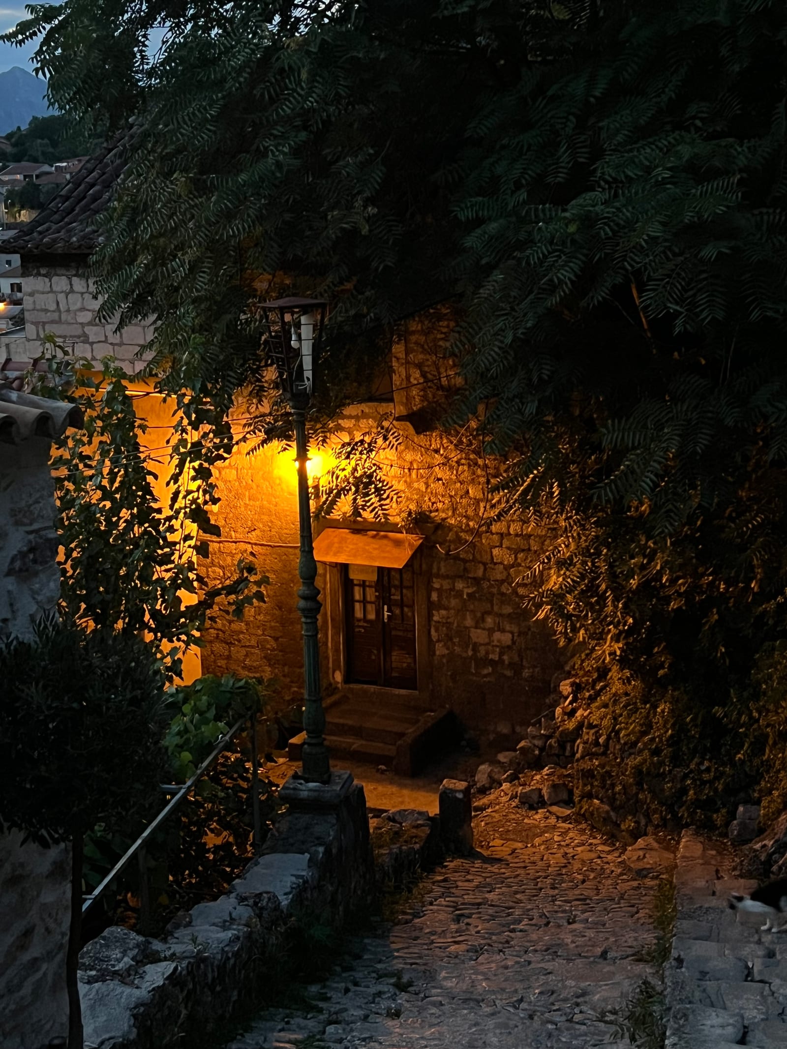 Steps, shutters, shadow